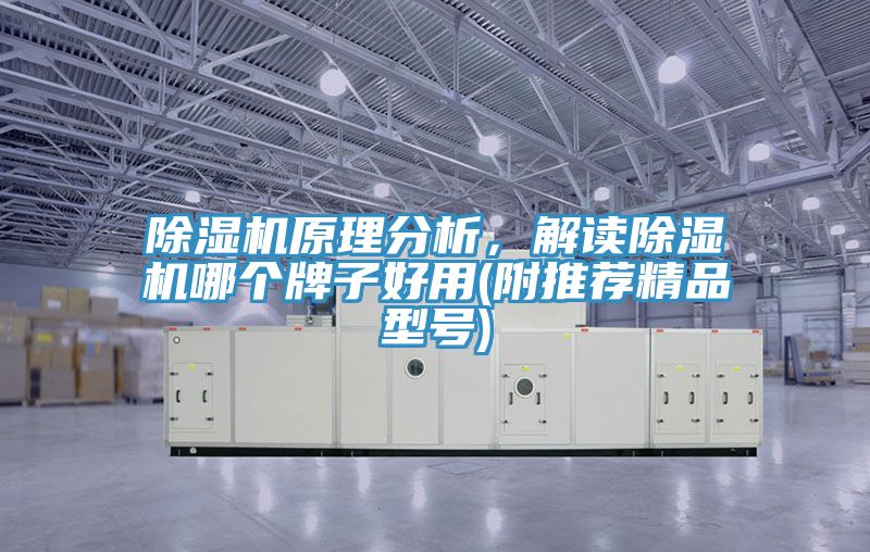 杏仁直播app最新版下载原理分析，解读杏仁直播app最新版下载哪个牌子好用(附推荐精品型号)