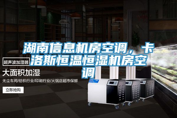 湖南信息机房空调，卡洛斯恒温恒湿机房空调
