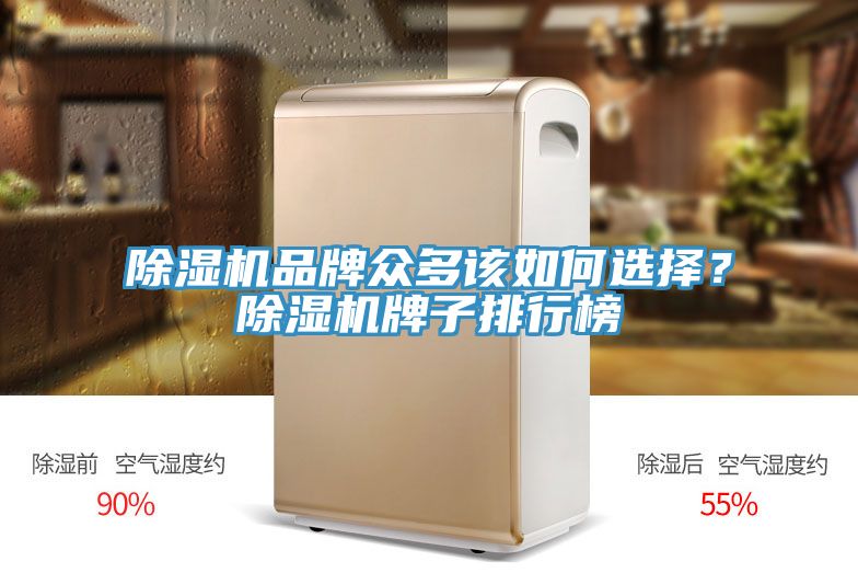 杏仁直播app最新版下载品牌众多该如何选择？杏仁直播app最新版下载牌子排行榜