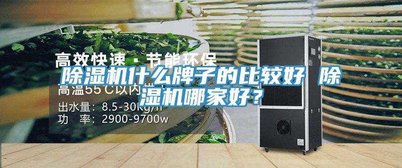 杏仁直播app最新版下载什么牌子的比较好 杏仁直播app最新版下载哪家好？