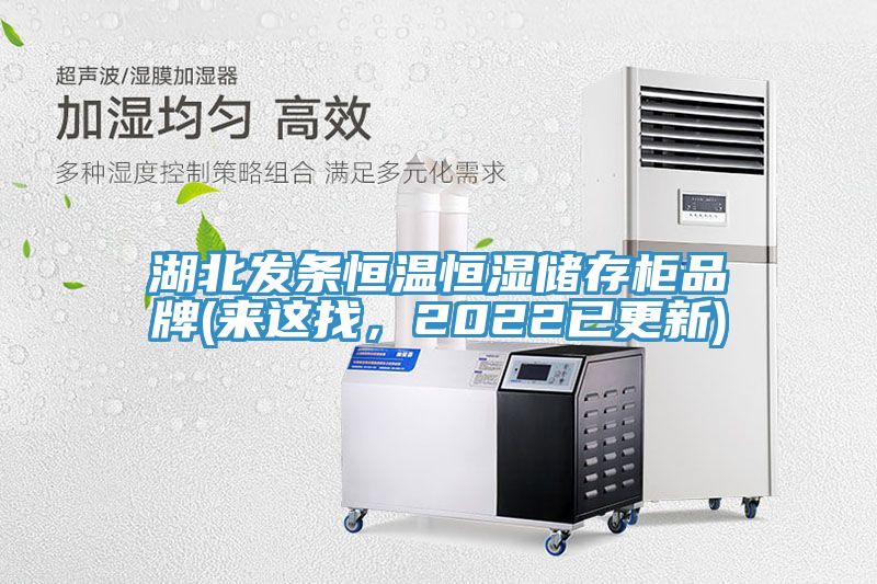 湖北发条恒温恒湿储存柜品牌(来这找，2022已更新)