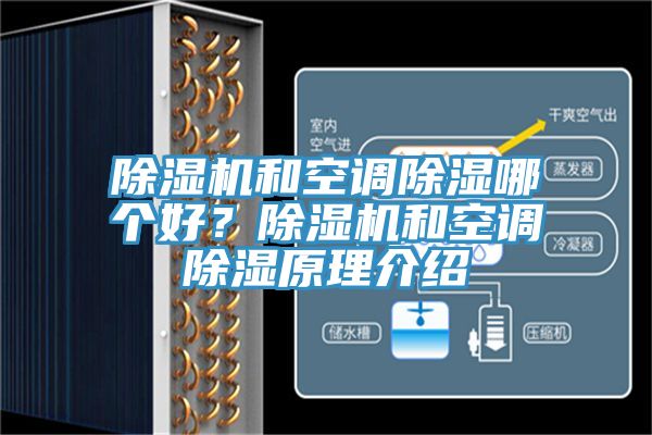 杏仁直播app最新版下载和空调除湿哪个好？杏仁直播app最新版下载和空调除湿原理介绍