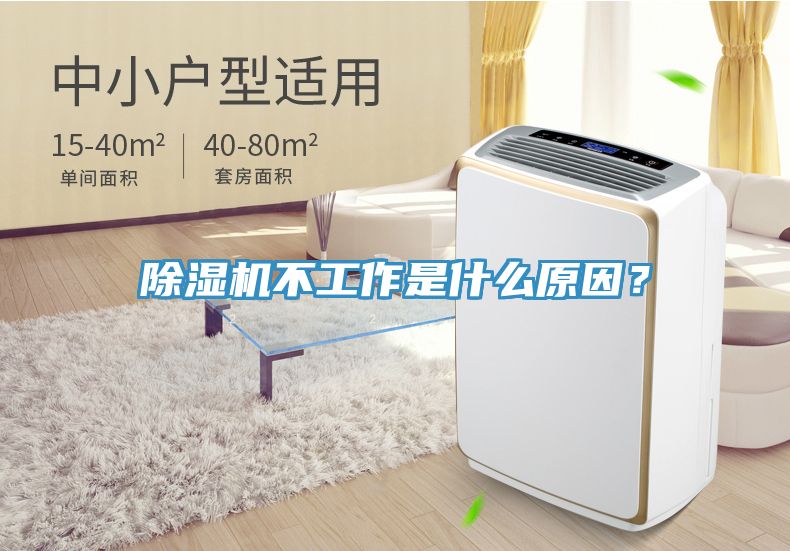 杏仁直播app最新版下载不工作是什么原因？