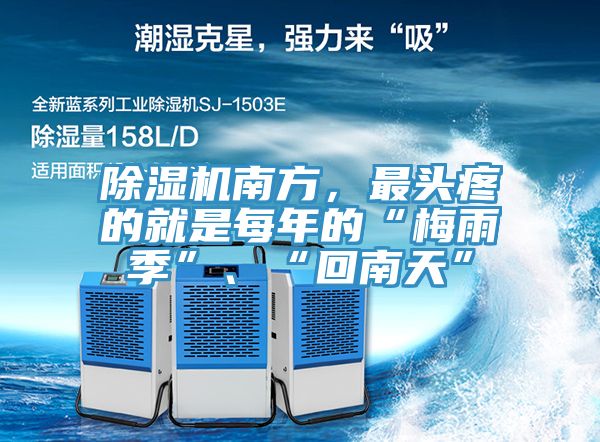杏仁直播app最新版下载南方，最头疼的就是每年的“梅雨季”、“回南天”
