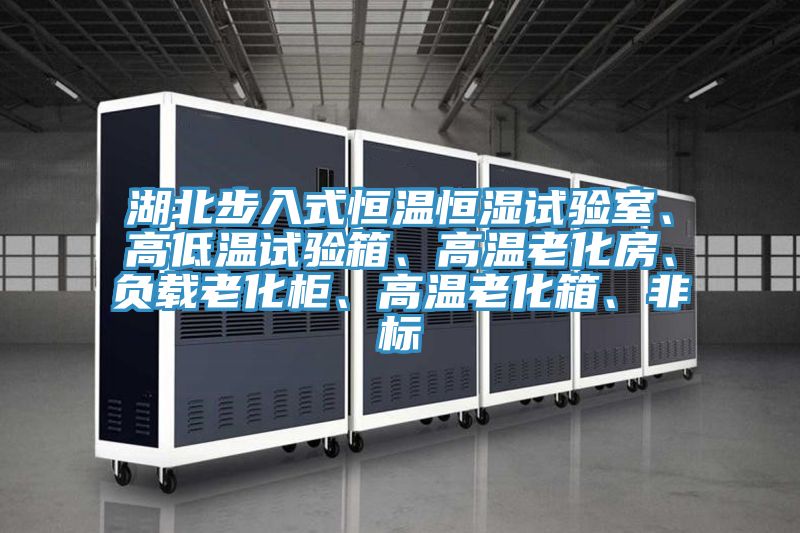 湖北步入式恒温恒湿试验室、高低温试验箱、高温老化房、负载老化柜、高温老化箱、非标