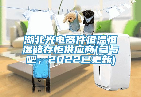 湖北光电器件恒温恒湿储存柜供应商(参与吧，2022已更新)