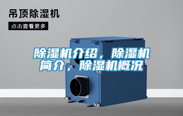 杏仁直播app最新版下载介绍，杏仁直播app最新版下载简介，杏仁直播app最新版下载概况