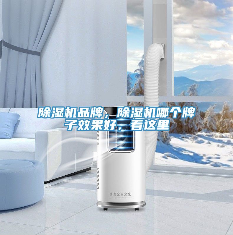 杏仁直播app最新版下载品牌，杏仁直播app最新版下载哪个牌子效果好，看这里