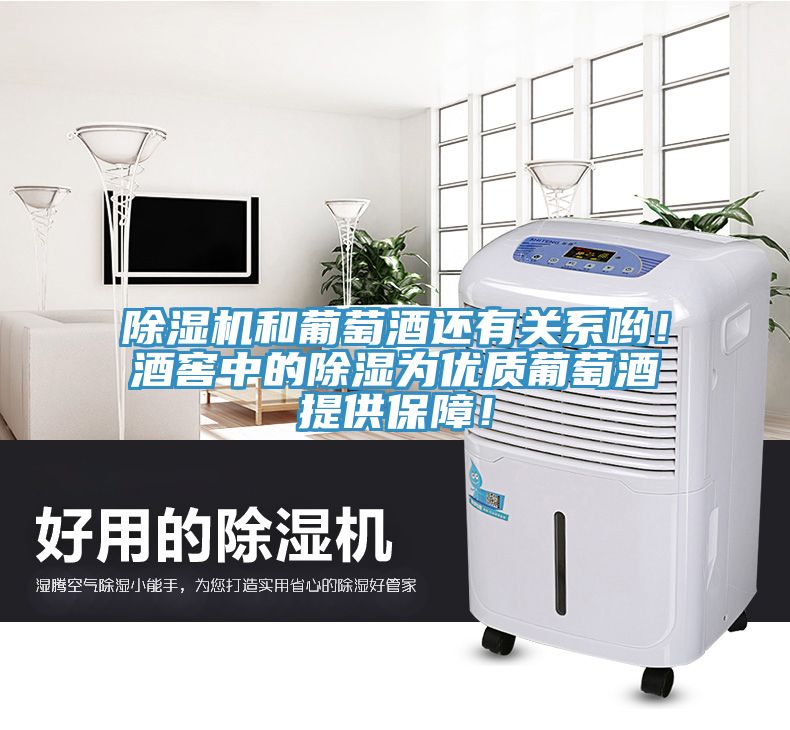 杏仁直播app最新版下载和葡萄酒还有关系哟！酒窖中的除湿为优质葡萄酒提供保障！