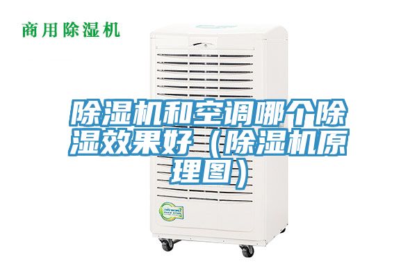 杏仁直播app最新版下载和空调哪个除湿效果好（杏仁直播app最新版下载原理图）