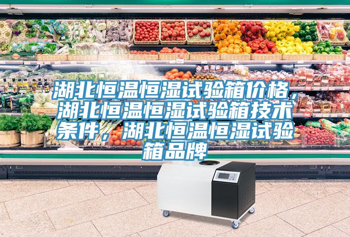 湖北恒温恒湿试验箱价格，湖北恒温恒湿试验箱技术条件，湖北恒温恒湿试验箱品牌