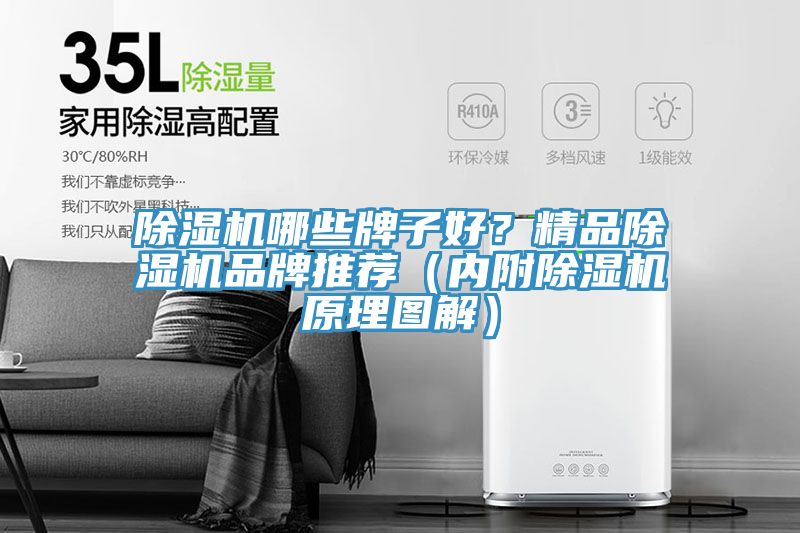 杏仁直播app最新版下载哪些牌子好？精品杏仁直播app最新版下载品牌推荐（内附杏仁直播app最新版下载原理图解）