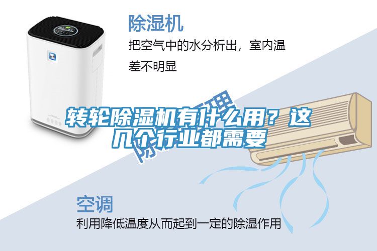 转轮杏仁直播app最新版下载有什么用？这几个行业都需要