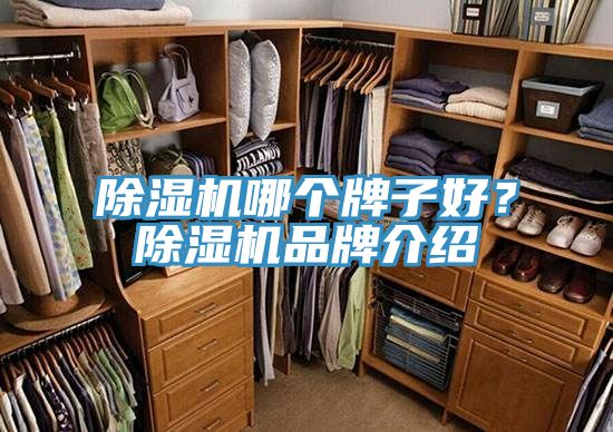 杏仁直播app最新版下载哪个牌子好？杏仁直播app最新版下载品牌介绍