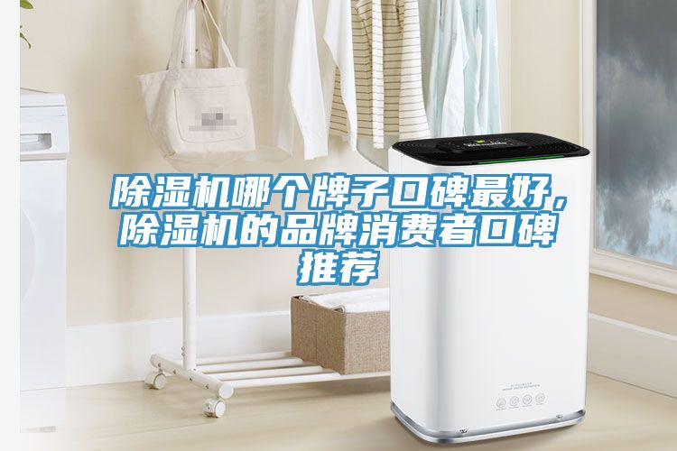 杏仁直播app最新版下载哪个牌子口碑最好，杏仁直播app最新版下载的品牌消费者口碑推荐