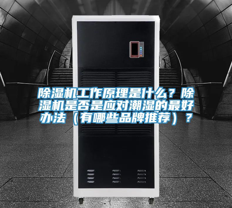 杏仁直播app最新版下载工作原理是什么？杏仁直播app最新版下载是否是应对潮湿的最好办法（有哪些品牌推荐）？