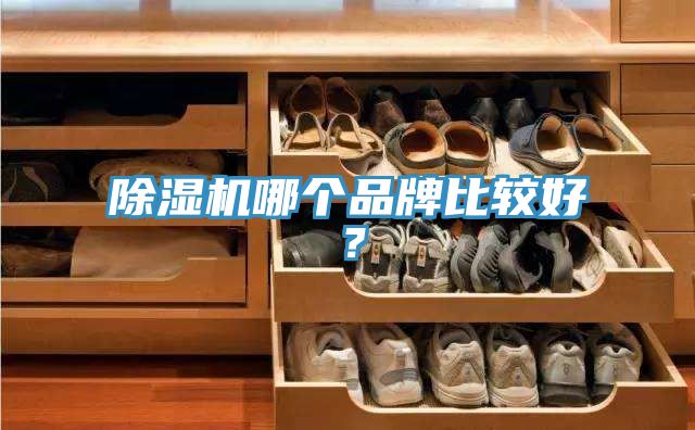 杏仁直播app最新版下载哪个品牌比较好？