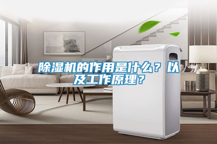杏仁直播app最新版下载的作用是什么？以及工作原理？