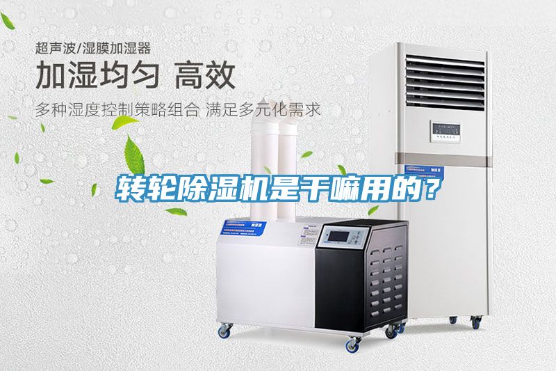 转轮杏仁直播app最新版下载是干嘛用的？